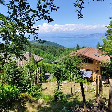 Chalet La Trouvaille Thollon-les-Memises エクステリア 写真