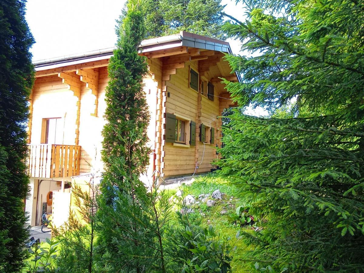 Chalet La Trouvaille Thollon-les-Memises エクステリア 写真